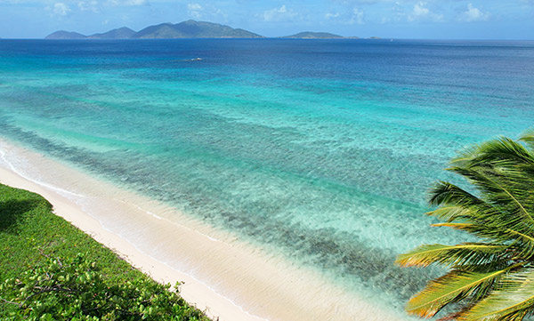 the beach at long bay beach resort