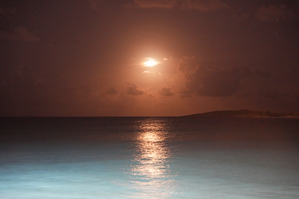 Moonlight Views at Cip's At Belmond Cap Juluca