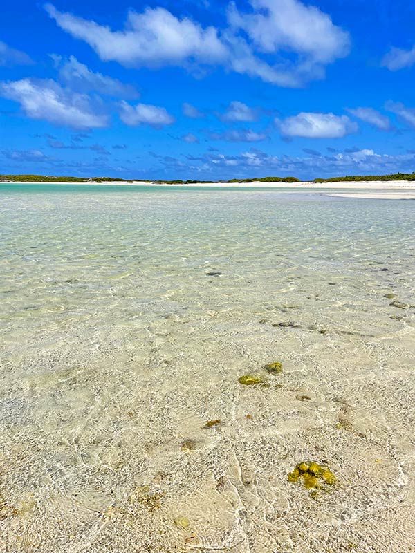 scrub island pond