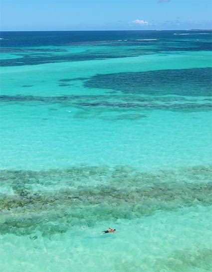 snorkeling in shoal bay