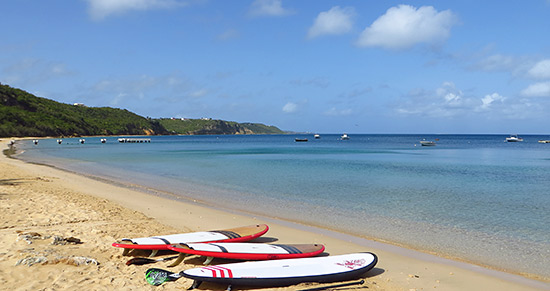 stand up paddle board on crocus bay