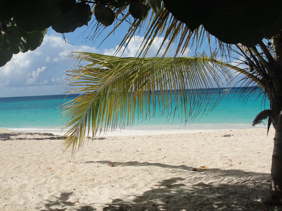 Anguilla Beaches Walk... The Top-Ranked Shoal Bay Anguilla Beach