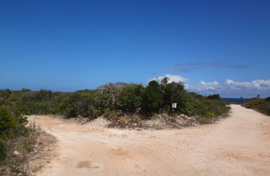 driving to palm grove in anguilla