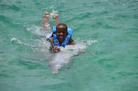 dolphin discovery dolphin swim anguilla