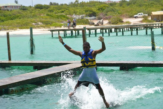 anguilla dolphin jump