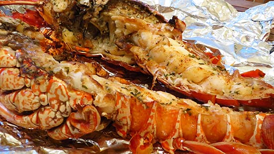 grilled lobster cooked to perfection