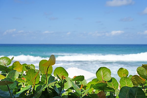 front row seat at bamboo bar and grill on meads bay beach