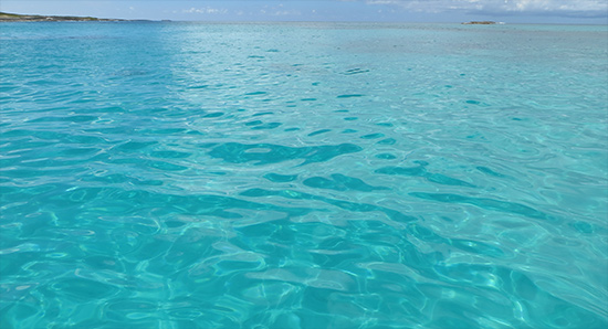 prickly pear seas in anguilla