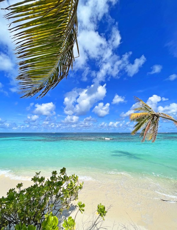 Anguilla Weather in January